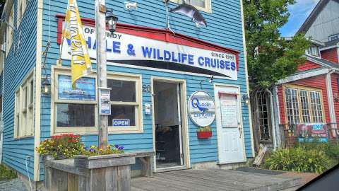Quoddy Link Marine Whale & Wildlife Cruises